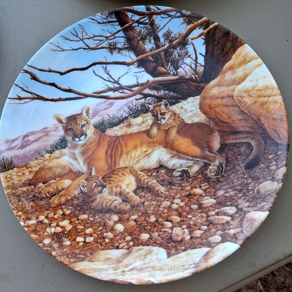 The cougar 1989 by Lee cable plate number 107